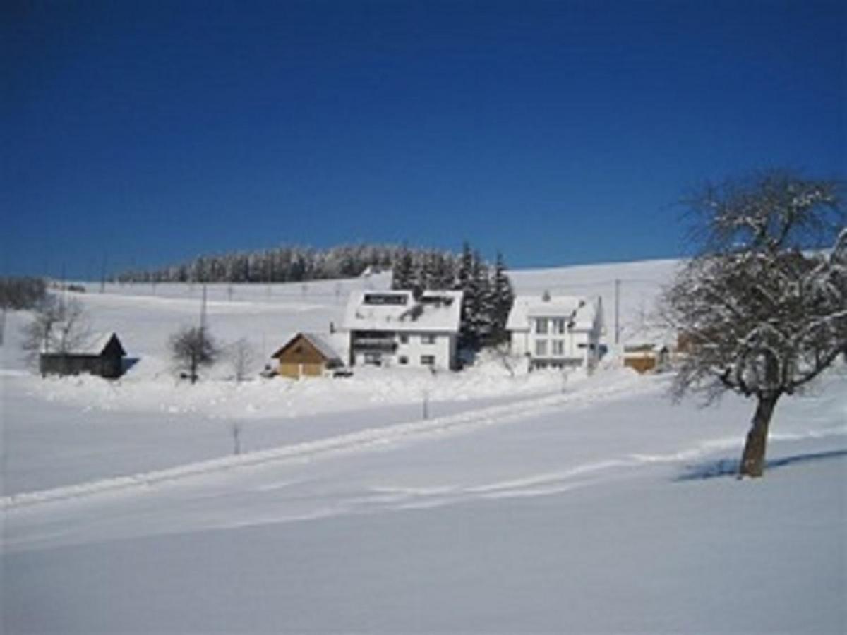 Haus Janssen-Wehrle Apartment Titisee-Neustadt Exterior photo
